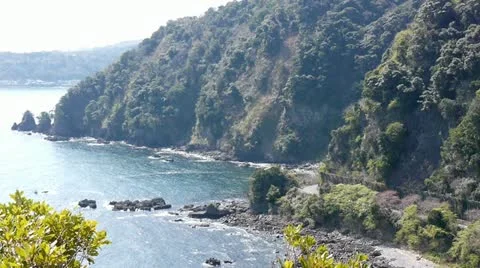 Izu,Japan Stock-Footage 10874729