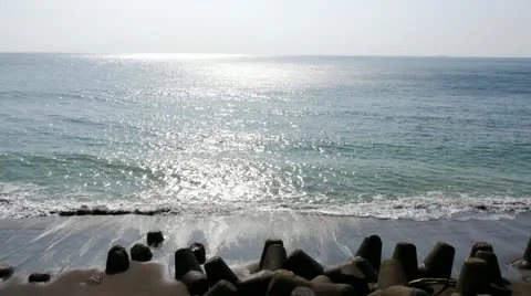 Izu,Japan Stock Footage 10874741