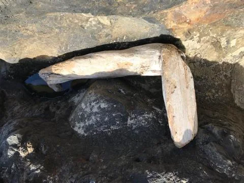 J shaped beach log Stock Photos