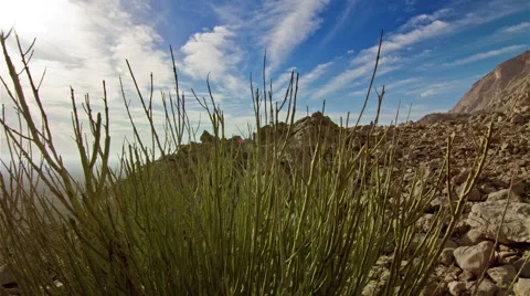 Jabel Hafeet Stock Footage 43673380