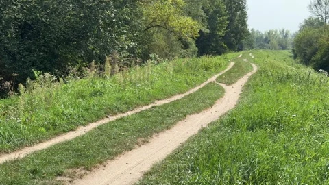 Jabłonna Palace, September Stock Footage 284882016