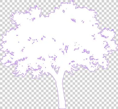 Jacaranda tree isolated on white filled outline illustration isolated on tr.. Illustration
