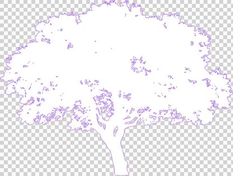 Jacaranda tree isolated on white filled outline illustration isolated on tr.. Stock Illustration