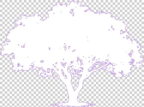 Jacaranda tree isolated on white filled outline illustration isolated on tr.. Stock Illustration
