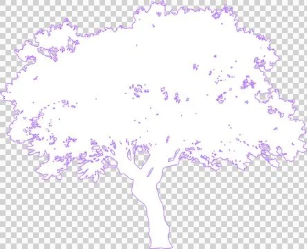 Jacaranda tree isolated on white filled outline illustration isolated on tr.. Stock Illustration