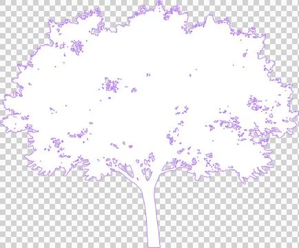 Jacaranda tree isolated on white filled outline illustration isolated on tr.. Stock Illustration