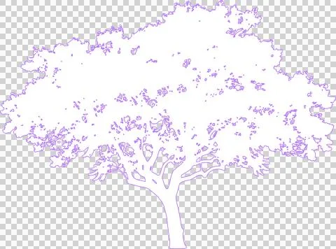 Jacaranda tree isolated on white filled outline illustration isolated on tr.. Ilustração Stock