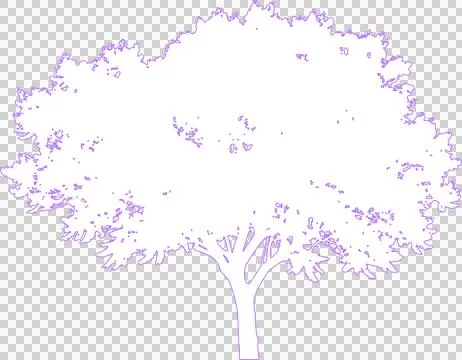Jacaranda tree isolated on white filled outline illustration isolated on tr.. Ilustração Stock