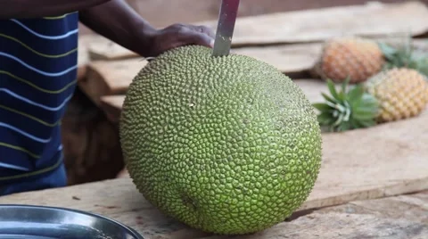 Jack fruit cutting Video stock 50519955