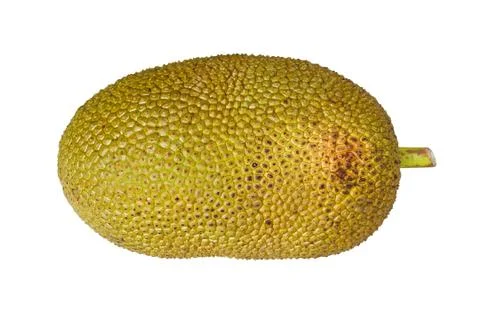 Jack fruit isolated on white background 스톡 사진