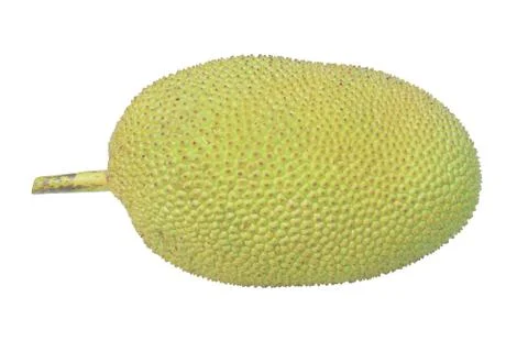Jack fruit isolated on white background Stock Photos