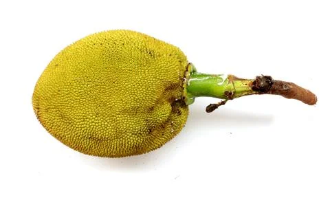 Jack fruit with leaf isolated on white background Stock Photos