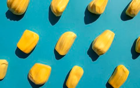 Jack fruit pattern on blue background, top view. Stock Photos