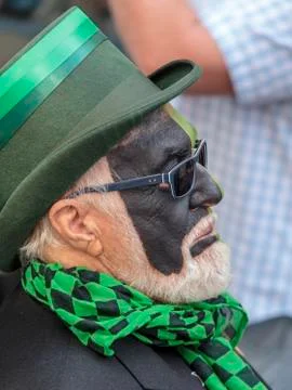 Jack in the Green procession Stock Photos