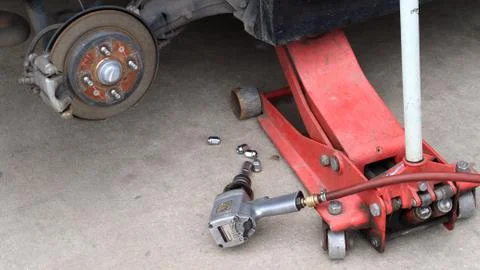 Jack holds Stock Photos