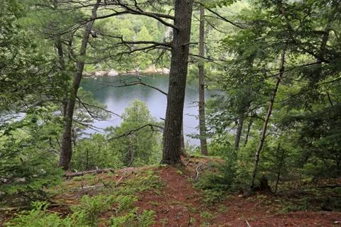 Jack Lake Stock Photos