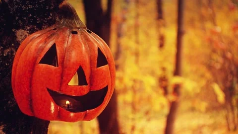 Jack lantern in the autumn forest on the background of falling leaves Stock Footage 140912759