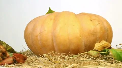 Jack Lantern for Halloween Stock Footage 54989837