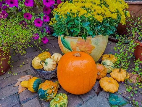 Jack Lanterns Glowing At Moonlight In The Spooky Night - Halloween Scene. Stock Photos