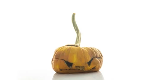 Jack mask on white background rotting in time lapse, rotting pumpkin, mold Stock Footage 249720887