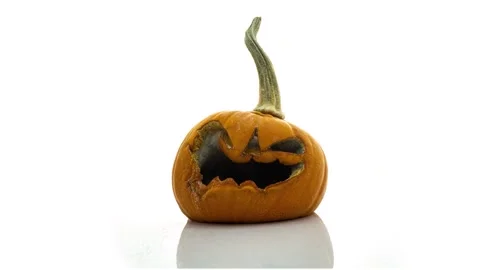 Jack mask on white background rotting in time lapse, rotting pumpkin, mold Stock Footage 250877123