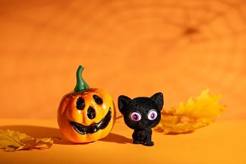 Jack-o-lantern and black cat with autumn leaves on orange background for cu.. Photos