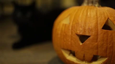 Jack-o-lantern with black cat Stock Footage 141869166