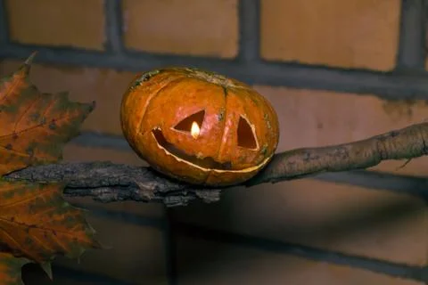 Jack-o-lantern on a branch with maple leaf Stock Photos