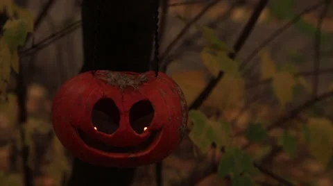 Jack-o-lantern on a branch with yellow leaves as a background 動画素材 68543639