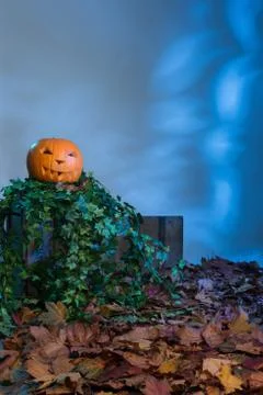 Jack-o-Lantern with Copy Space Stock Photos