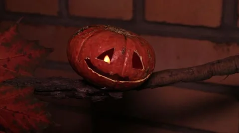 Jack-o-lantern on a dry branch 動画素材 68538795