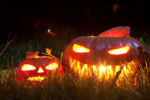Jack o' lantern on grass Stock Photos