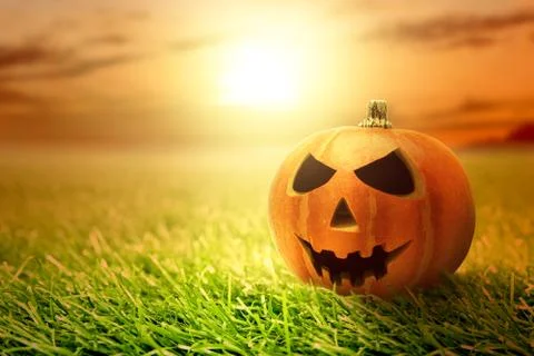 Jack-o-Lantern on the grass Stock Photos
