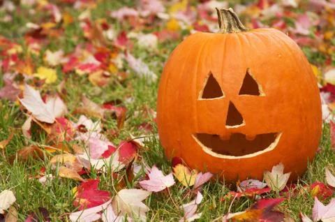 Jack o Lantern in leaves Stock Photos