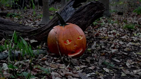 Jack-o-lantern lite for Halloween. Stock Footage 288794794