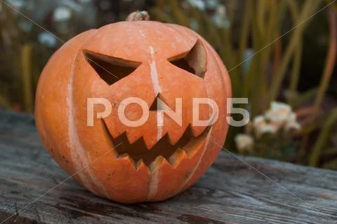 Jack-o ' - lantern outdoors. The Eve Of Halloween Stock Photos