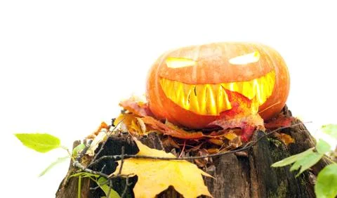 Jack o' lantern Stock Photos
