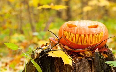 Jack o' lantern Stock Photos