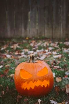 Jack O Lantern Stock Photos