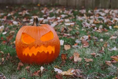 Jack O Lantern Stock Photos