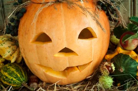 Jack O' Lantern Stock Photos