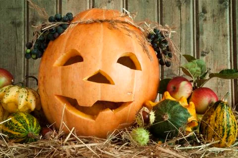 Jack O' Lantern Stock Photos