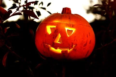 Jack O Lantern Stock Photos