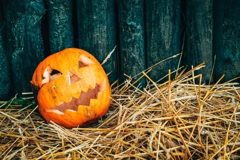 Jack-o-lantern placed on hay in a rustic farm setting, symbolizing Hallowee.. Stock Photos