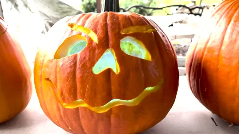 A jack o lantern pumpkin with colorful light Stock Footage 166009028