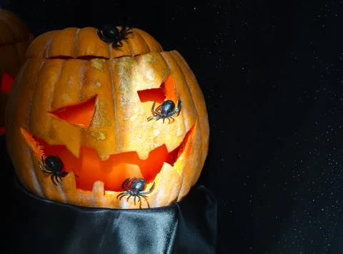 Jack-o-lantern pumpkin head and different small spiders on a black background Stock Photos