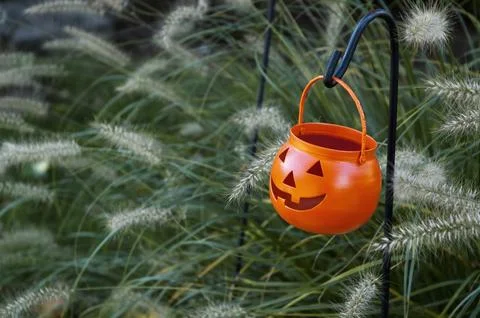 Jack-o'-lantern trick-or-treat container at Halloween. Green grass background. Stock-Fotos