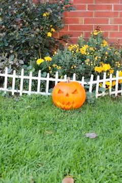 Jack O' Lantern in yard Stock Photos