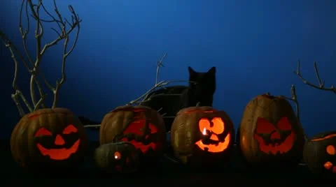 Jack O'lanterns And Black Cat Stock Footage