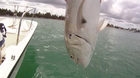 Jack Release Stock Footage 7136484